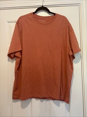 Banana Republic Premium Wash Tee — Burnt Sienna